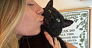 Kuro is registered to the contest to win money with this photo: person, cat, black_cat, green_eyes, kiss, facial_expression, hand, ring, indoor, wall_art, frame, blonde_hair, close_up, pet, affection, unimpressed_cat, home, portrait, light_skin, decor
