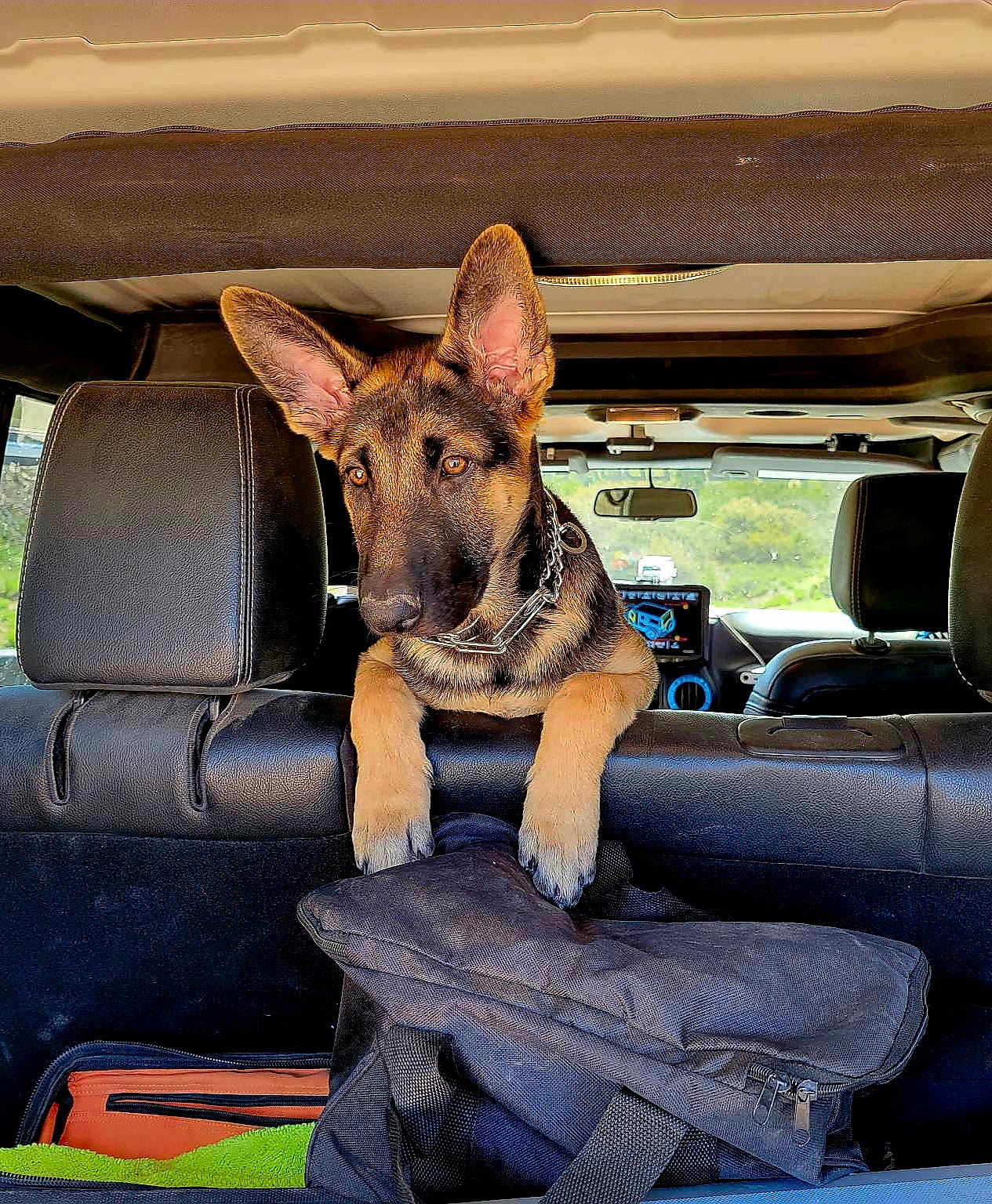 Ruger