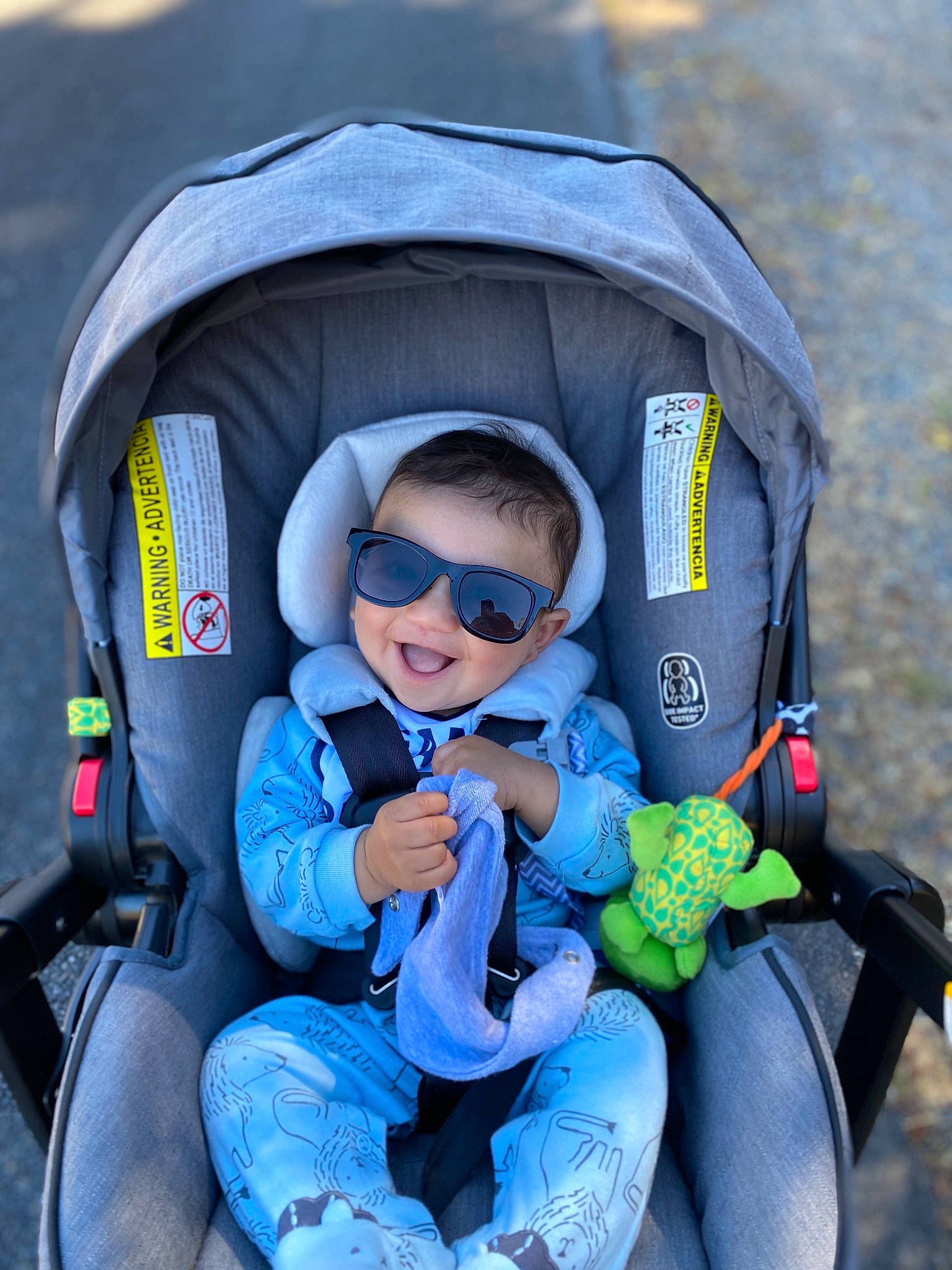 Boston is registered to the contest to win money with this photo: adventure, baby_carriage, baby_products, child, glasses, joy, person, plant, product, recreation, toddler, vacation