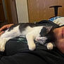 Snow is registered to the contest to win money with this photo: beard, black_and_white_cat, blanket, cat, comfort, cozy, face, furniture, hand, home, hoodie, indoor, lying_down, nap, person, pet, relaxation, resting, sleeping, wooden_door