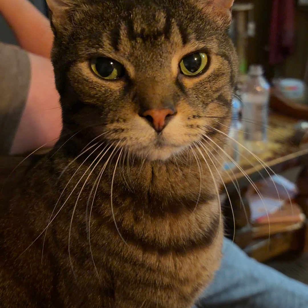 Quincy