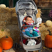 Arya is registered to the contest to win money with this photo: autumn, baby, blanket, child, chrysanthemums, fall, farm, flowers, garden, hay_bales, infant, orange, outdoor, portrait, pumpkin_patch, pumpkins, seasonal, smiling, stroller, toy_fan