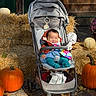 autumn, baby, blanket, child, chrysanthemums, fall, farm, flowers, garden, hay_bales, infant, orange, outdoor, portrait, pumpkin_patch, pumpkins, seasonal, smiling, stroller, toy_fan