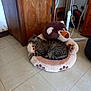 cat, tabby, sleeping, pet_bed, plush, teddy_bear, indoor, floor, tile_floor, wooden_cabinet, cable, power_strip, relaxing, cozy, home, quiet, resting, furniture, room, cord