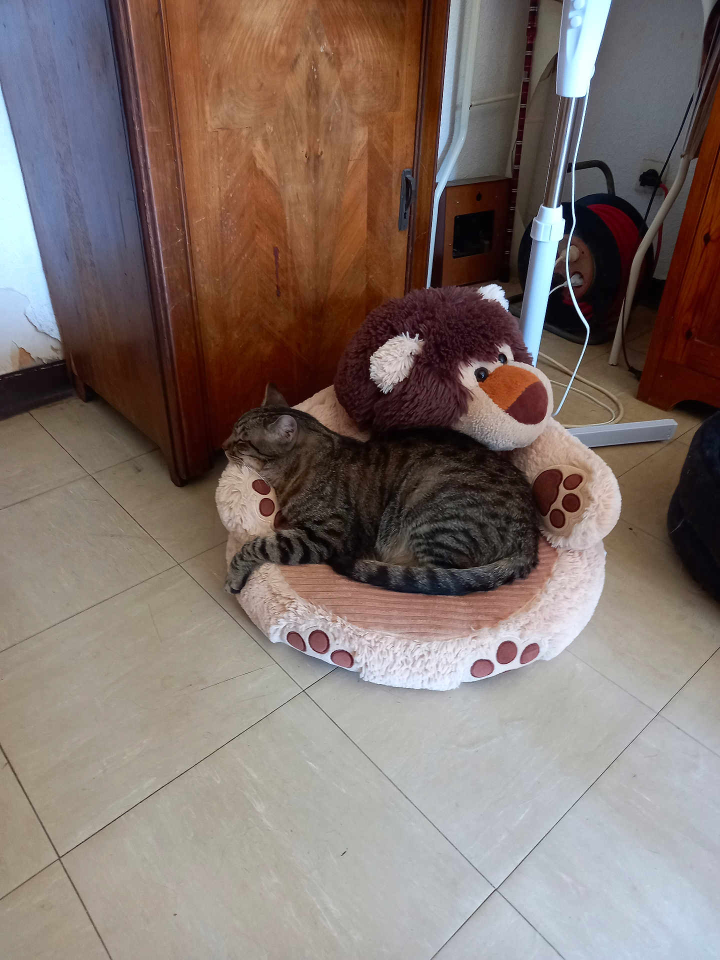 Oscaro