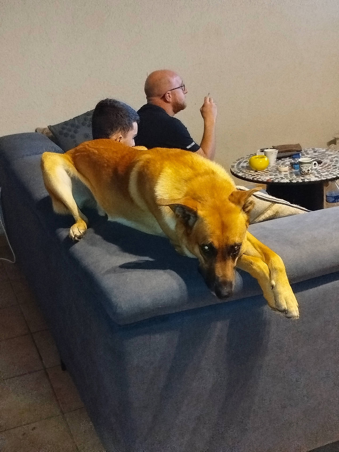 Teico a rejoint le concours — aidez-le/la à gagner de superbes lots ! bald_man, brown_dog, casual, conversation, couch, cup, dog, furniture, glasses, indoor, living_room, man, mug, person, relaxing, seated, side_profile, table, tile_floor, yellow_object