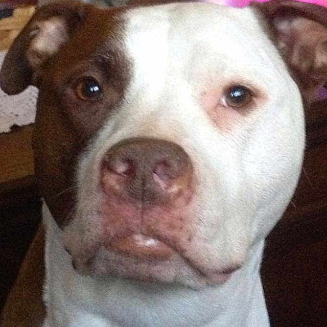 Lexi joined the competition — help win amazing prizes!