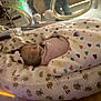 newborn, baby, incubator, blanket, heart_pattern, medical_tubes, sleeping, cushion, lion_print, neonatal, hospital, care, infant, swaddled, bed, healthcare, person, closeup, indoors, fragile