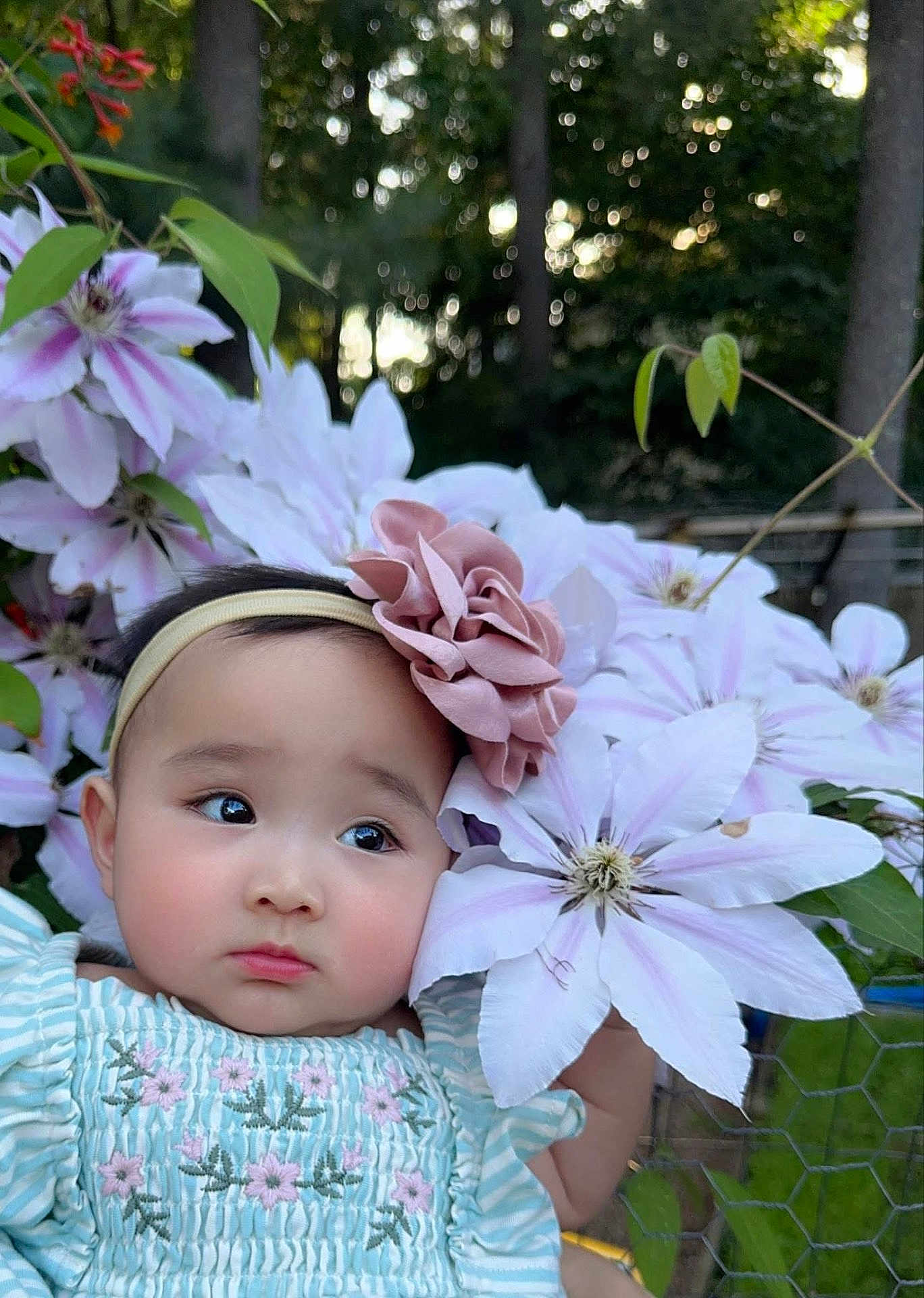 Mia