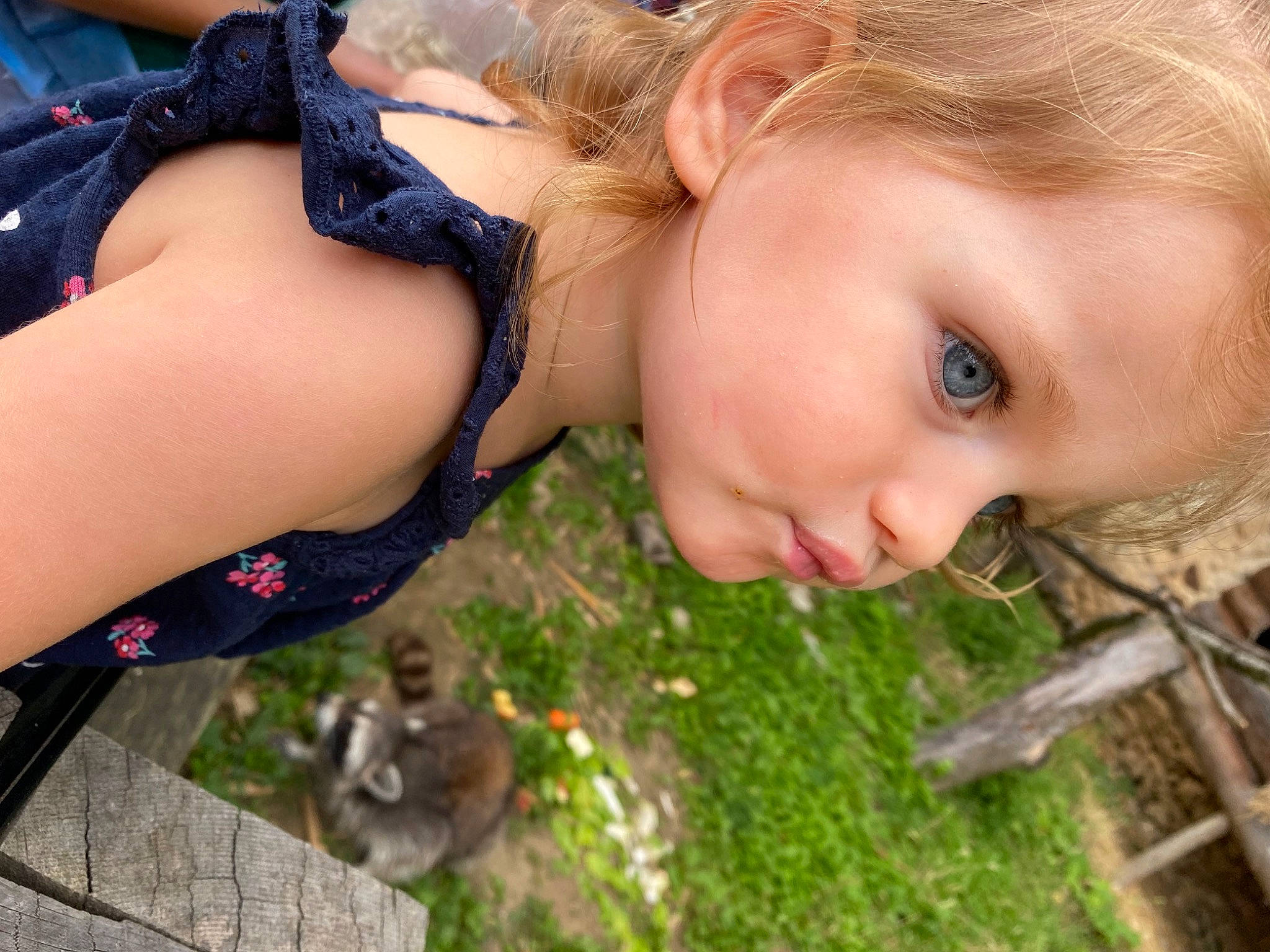 Aria a rejoint le concours — aidez-le/la à gagner de superbes lots ! blond, brown_hair, child, eyelash, fawn, fun, grass, grass_family, grassland, happy, iris, lip, long_hair, people_in_nature, person, plant, sitting, skin, toddler, tree