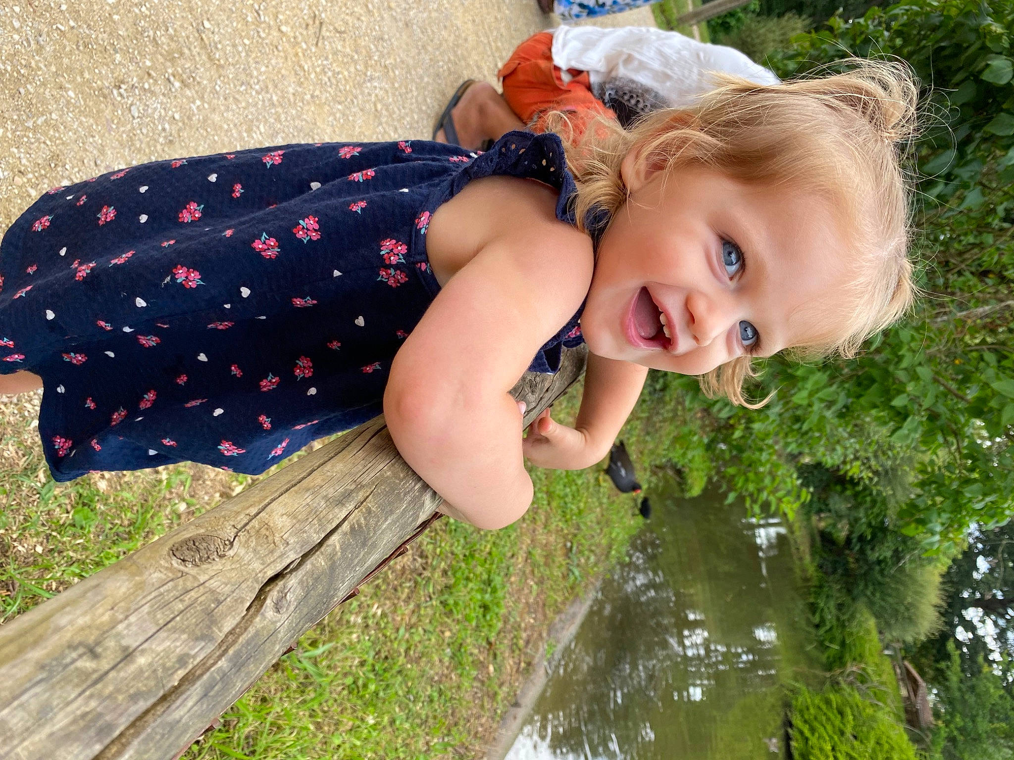 Aria a rejoint le concours — aidez-le/la à gagner de superbes lots ! blond, child, dress, eye, face, fawn, fun, grass, grass_family, grassland, happy, lawn, leisure, meadow, people_in_nature, person, plant, smile, toddler, tree