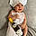 Hady