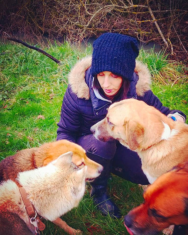 Ganja participe au concours pour gagner de l'argent avec cette photo : adventure, canidae, carnivore, companion_dog, dog, dog_breed, friendship, fur, golden_retriever, guard_dog, hovawart, labrador_retriever, love, nose, nova_scotia_duck_tolling_retriever, photography, puppy_love, retriever, sporting_group