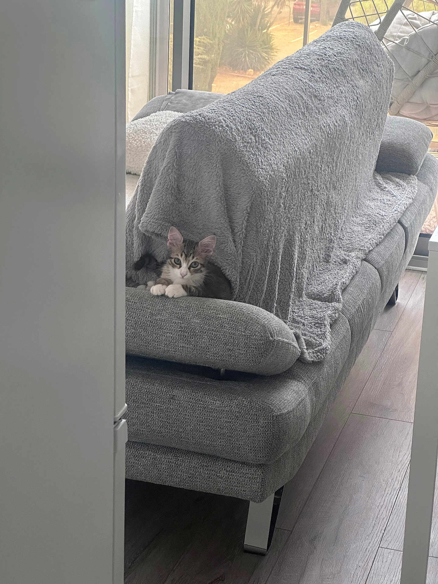 Milo