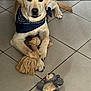 dog, puppy, labrador, bandana, toy, rope_toy, stuffed_animal, floor, tile, indoor, pet, animal, cute, playful, young, paw, lying_down, brown, beige, companion