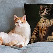 Fripon participe au concours pour gagner de l'argent avec cette photo : cat, orange_and_white_cat, couch, pillow, portrait_pillow, regal_cat_image, indoor, relaxed_cat, feline, pet, animal, blue_couch, home, decor, funny, artistic_pillow, sitting, closeup, cute, domestic_cat