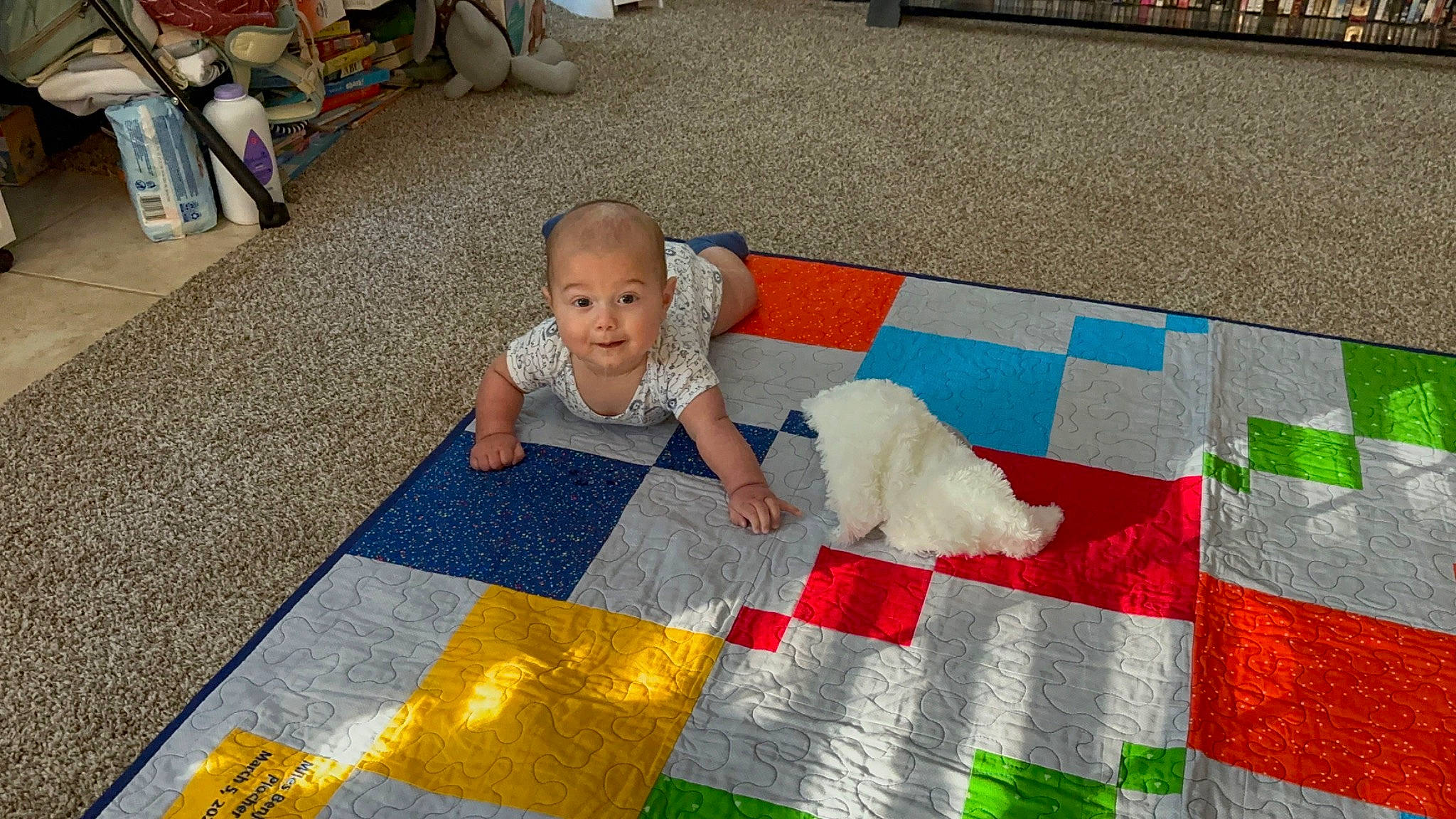 Miles joined the competition — help win amazing prizes! baby, carpet, child, crawling, floor, flooring, fun, grass, hardwood, leisure, pattern, person, play, playmat, product, sitting, summer, toddler, toy, wood