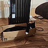 Tex is registered to the contest to win money with this photo: cat, black_cat, cardboard_box, floor, wooden_floor, heater, electric_heater, cords, indoor, pet, relaxed, feline, home, resting, domestic, cozy, black_and_white, box, flooring, appliance