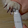 Zoie is registered to the contest to win money with this photo: dog, paw, white_fur, pet, pet_grooming, nail_grinder, claws, electric_tool, hand, human_hand, animal_care, grooming, close_up, advertisement, social_media, smartphone_screenshot, product, white_device, wooden_surface, fur