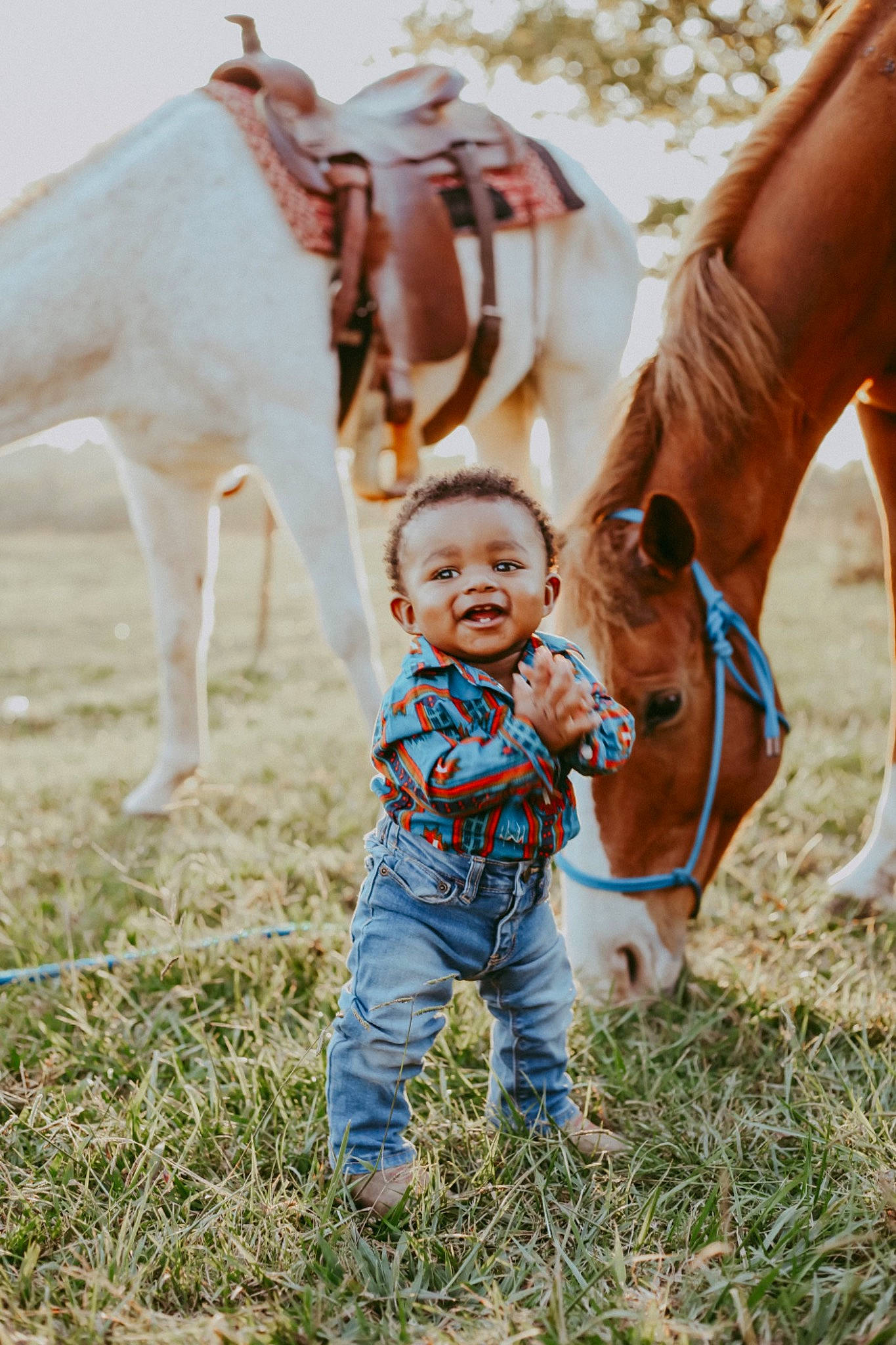 Nazir joined the competition — help win amazing prizes! bridle, dairy_cow, eye, fawn, fun, gesture, grass, grassland, grazing, happy, landscape, mammal, pack_animal, people_in_nature, person, plant, rural_area, sky, toddler, tree