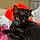 Binx