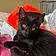 Binx