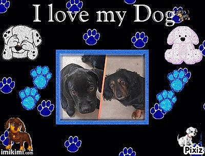 Batman a rejoint le concours — aidez-le/la à gagner de superbes lots ! black, circle, dog, dog_breed, electric_blue, event, font, graphic_design, light, multimedia, organism, rectangle, science, technology