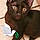 Titi Gros Minet