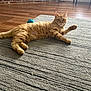 cat, ginger_cat, pet, indoor, rug, floor, toy, ball, brick_wall, fireplace, wood_floor, feline, relaxed, stretching, paw, home, cozy, animal, domestic, cute
