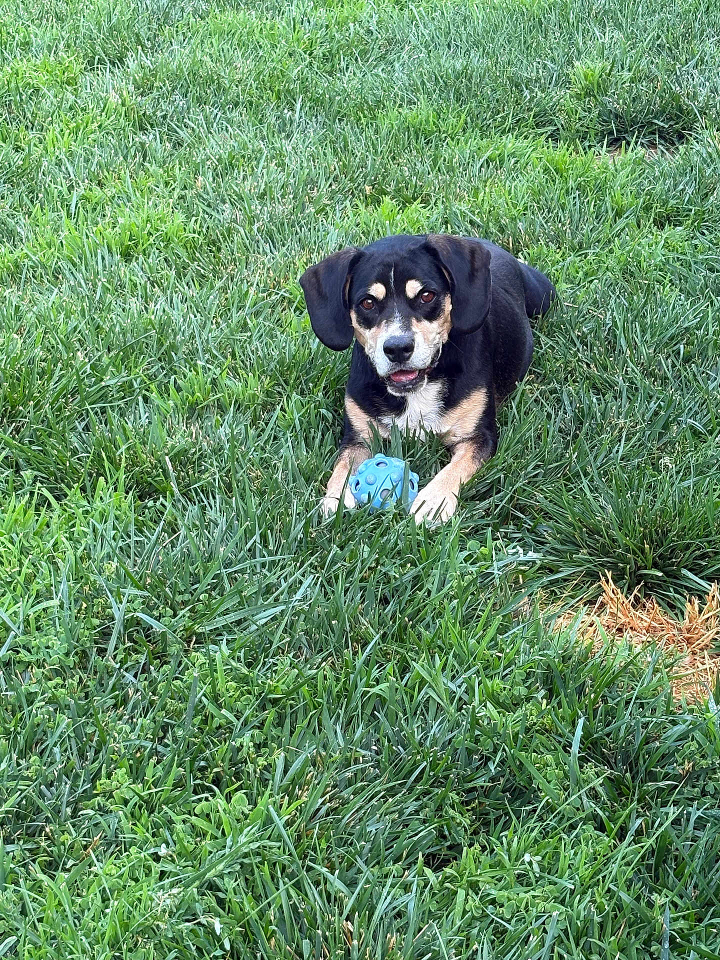 Max