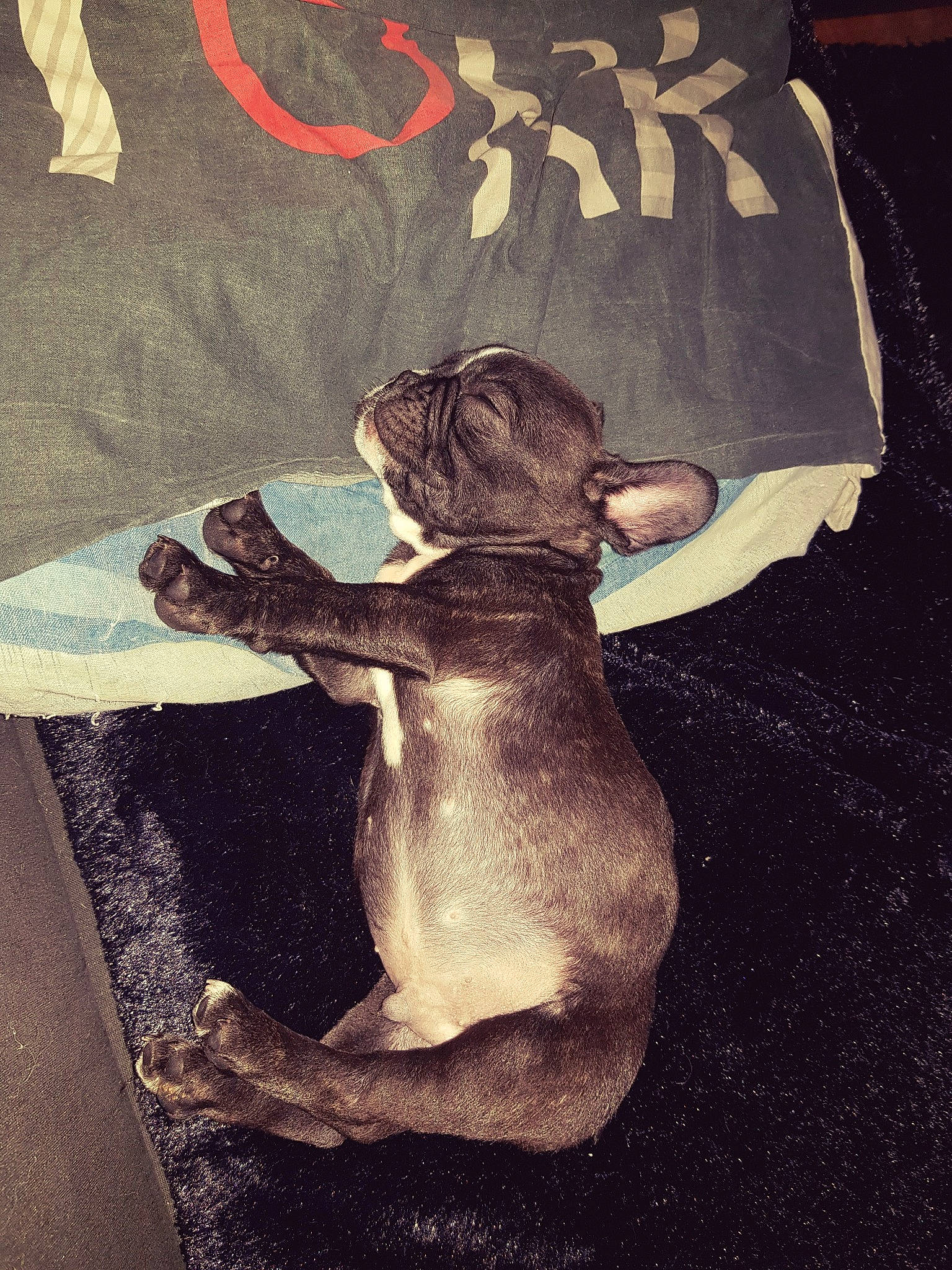 Poutchi participe au concours pour gagner de l'argent avec cette photo : arm, art, artifact, child, hand, human_body, illustration, tints_and_shades, visual_arts