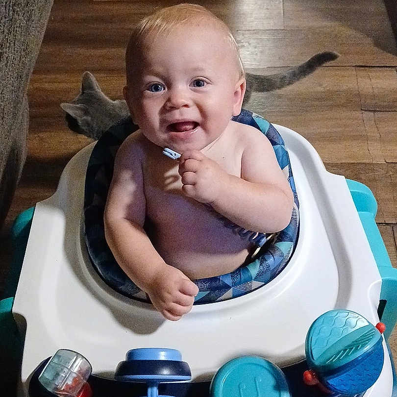Braxton