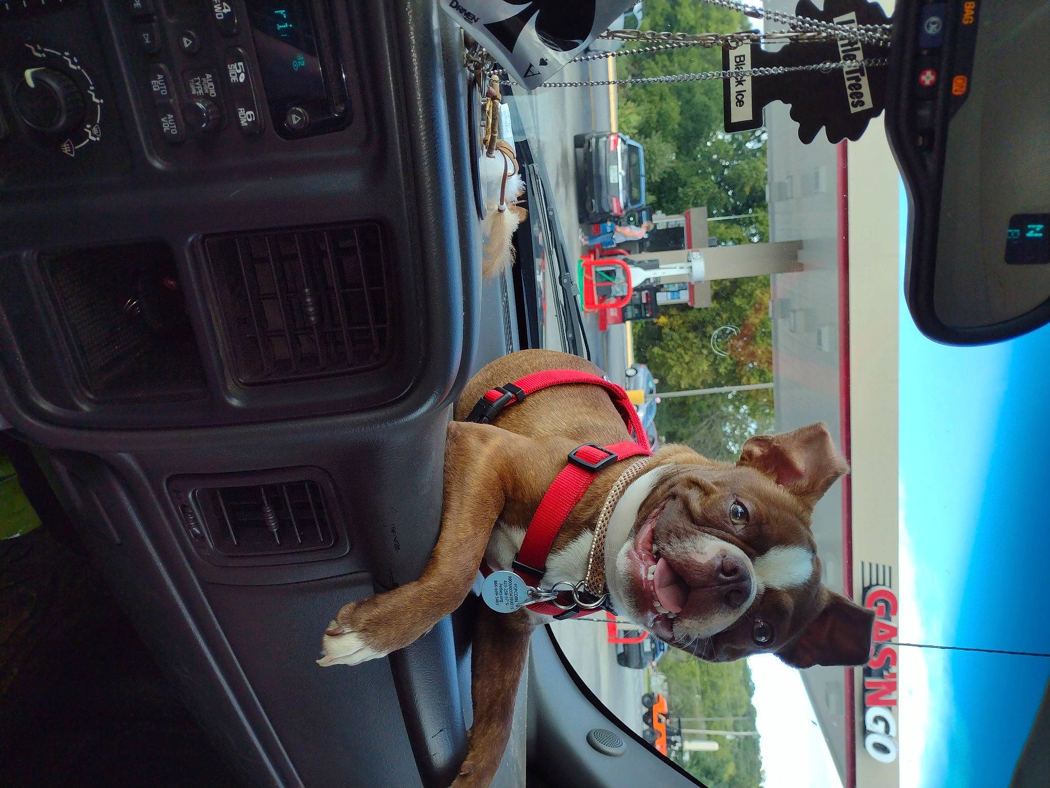 Popcorn joined the competition — help win amazing prizes! auto_part, automotive_design, automotive_exterior, automotive_lighting, automotive_mirror, automotive_tire, automotive_wheel_system, automotive_window_part, bumper, car, family_car, luxury_vehicle, machine, mode_of_transport, motor_vehicle, plant, tire, vehicle, vehicle_door, wheel