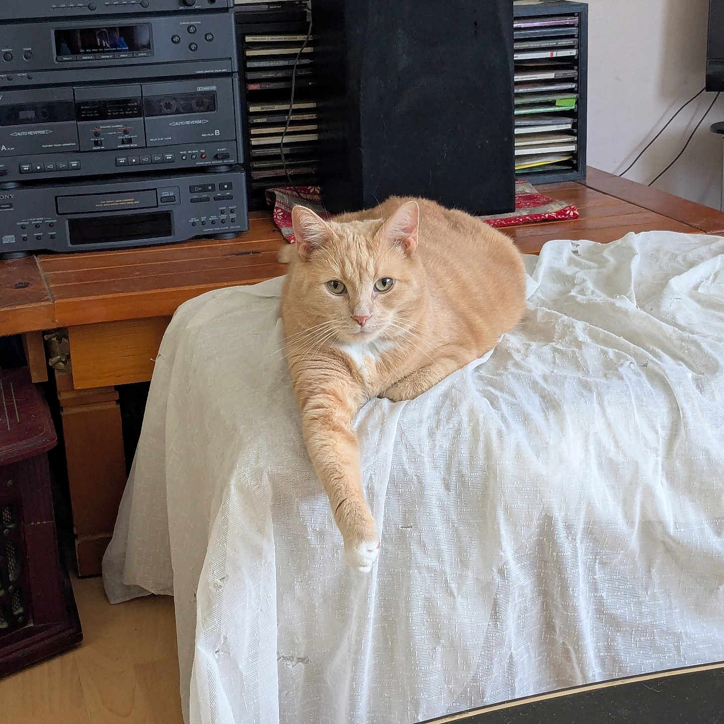 Grorge joined the competition — help win amazing prizes! cat, cozy, curious, domestic_animal, electronics, furniture, household, indoor, living_room, orange_tabby, paw, pet, relaxed, resting, speaker, stereo_system, table, vintage, white_cloth, wooden