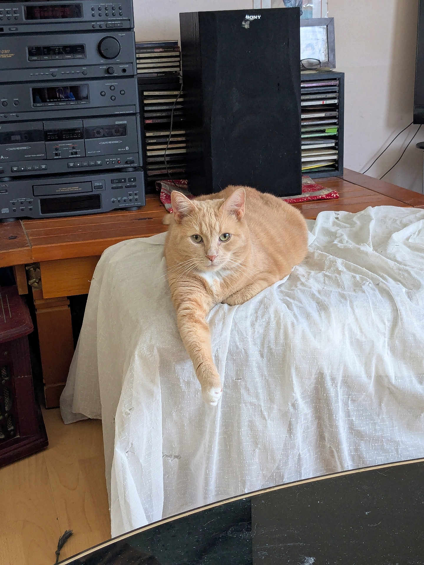 Grorge joined the competition — help win amazing prizes! cat, orange_tabby, indoor, furniture, stereo_system, speaker, table, white_cloth, relaxed, paw, curious, wooden, electronics, vintage, living_room, pet, domestic_animal, resting, cozy, household
