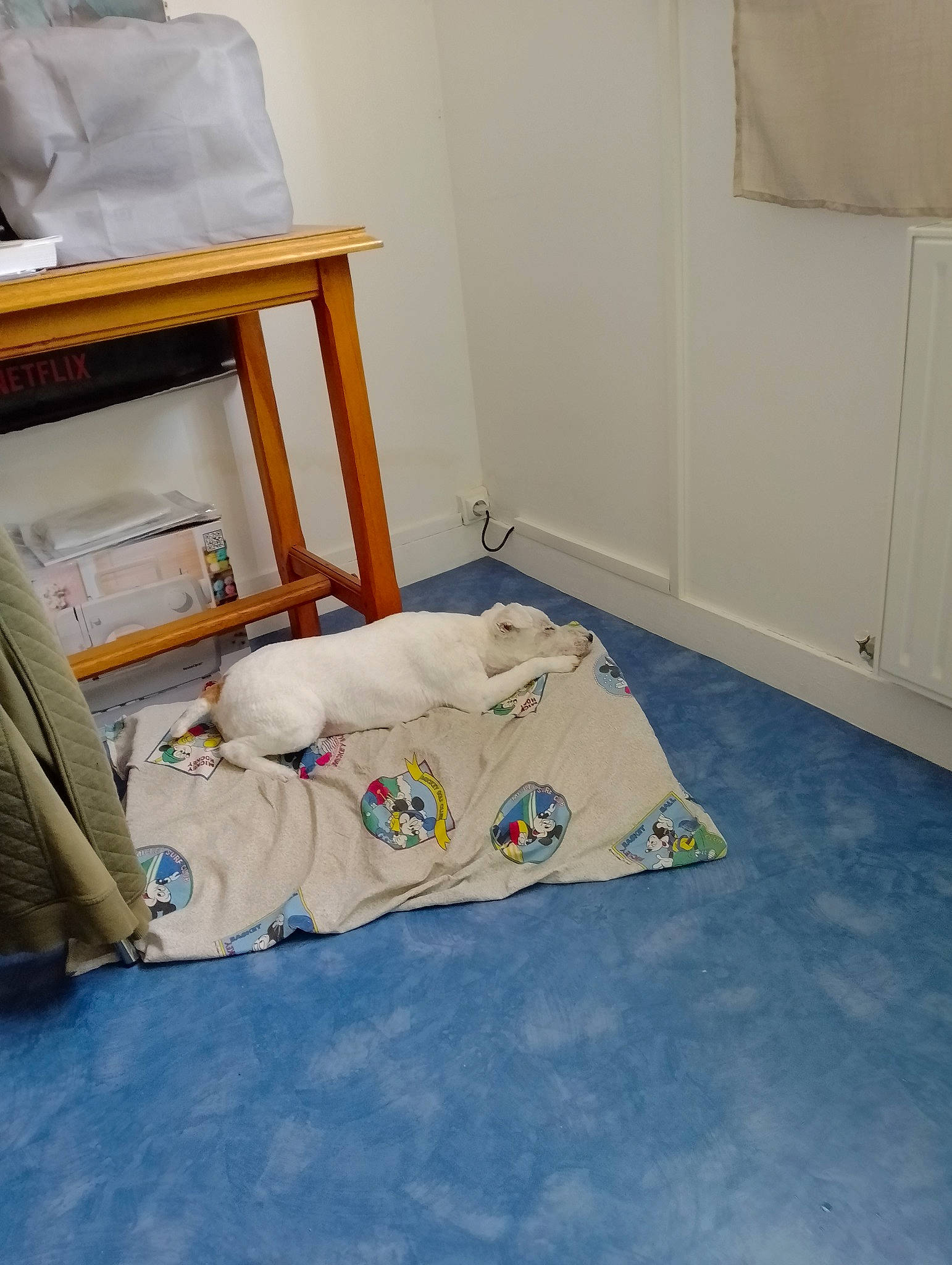 Finger a rejoint le concours — aidez-le/la à gagner de superbes lots ! baby_products, bag, bed_sheet, bedding, bedroom, cabinetry, child, comfort, door, floor, flooring, hardwood, house, infant_bed, linens, luggage_and_bags, paint, plastic, room, wood