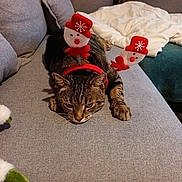 Ouchka participe au concours pour gagner de l'argent avec cette photo : cat, tabby_cat, couch, gray_couch, headband, holiday_accessory, snowman, indoor, pet, animal, feline, whiskers, paws, resting, cozy, blanket, fur, ears, face, holiday