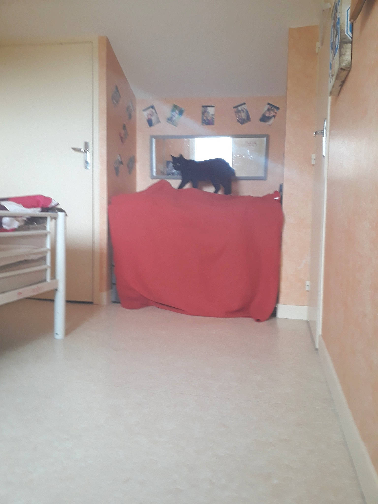 Caline a rejoint le concours — aidez-le/la à gagner de superbes lots ! bed, bedroom, building, floor, flooring, furniture, house, interior_design, property, room