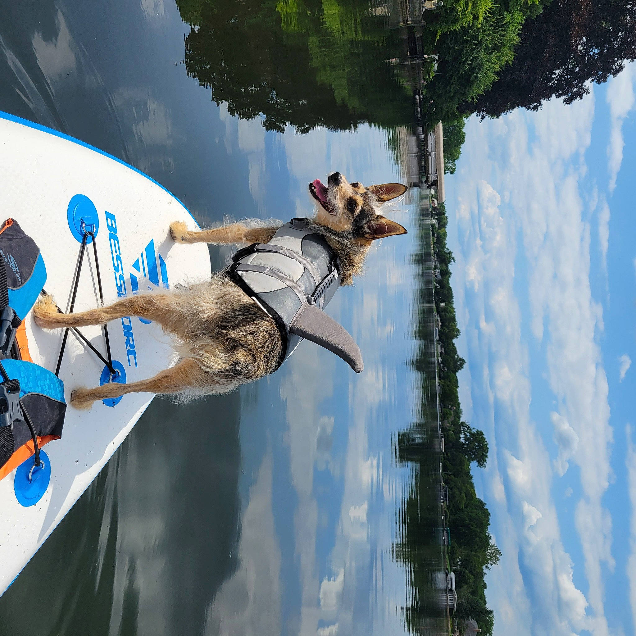 Taz is registered to the contest to win money with this photo: aerospace_manufacturer, aircraft, art, aviation, cloud, fun, leisure, pole, propeller, propeller_driven_aircraft, recreation, reflection, sculpture, sky, travel, tree, vehicle, water, world