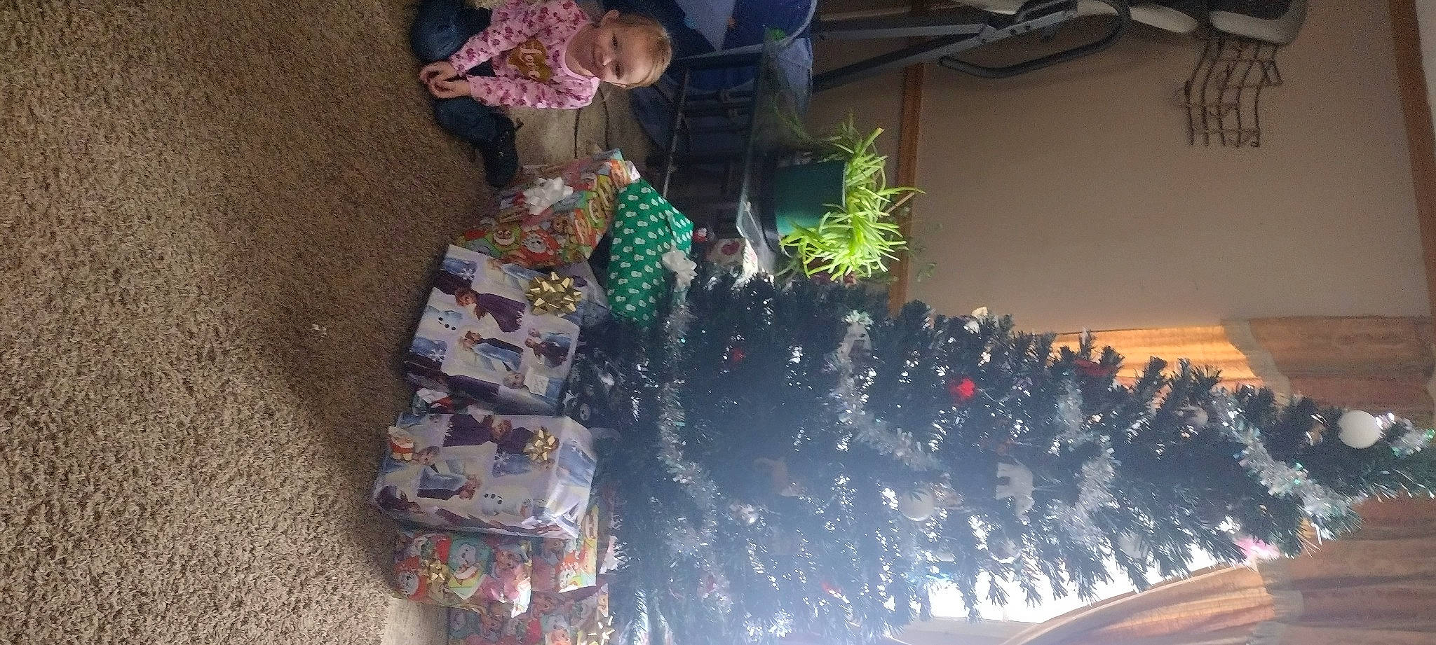 Lillyanna joined the competition — help win amazing prizes! automotive_lighting, christmas_decoration, christmas_ornament, conifer, crowd, event, fir, fun, glass, holiday, interior_design, joy, leisure, ornament, person, plant, plastic, room, textile, toddler