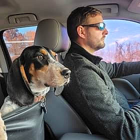 Lady Belle joined the competition — help win amazing prizes! auto_part, automotive_exterior, car, car_seat, car_seat_cover, carnivore, collar, companion_dog, dog, dog_breed, eyewear, family_car, goggles, head_restraint, mode_of_transport, motor_vehicle, seat_belt, vehicle, vehicle_door, window