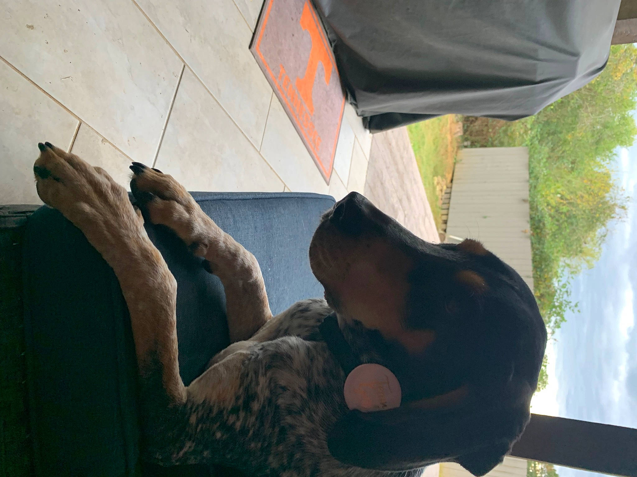 Lady Belle joined the competition — help win amazing prizes! art, chest, elbow, fawn, foot, fun, grass, human_leg, leisure, monument, plant, sculpture, shadow, sitting, statue, tints_and_shades, tree, vertebrate, window, wood