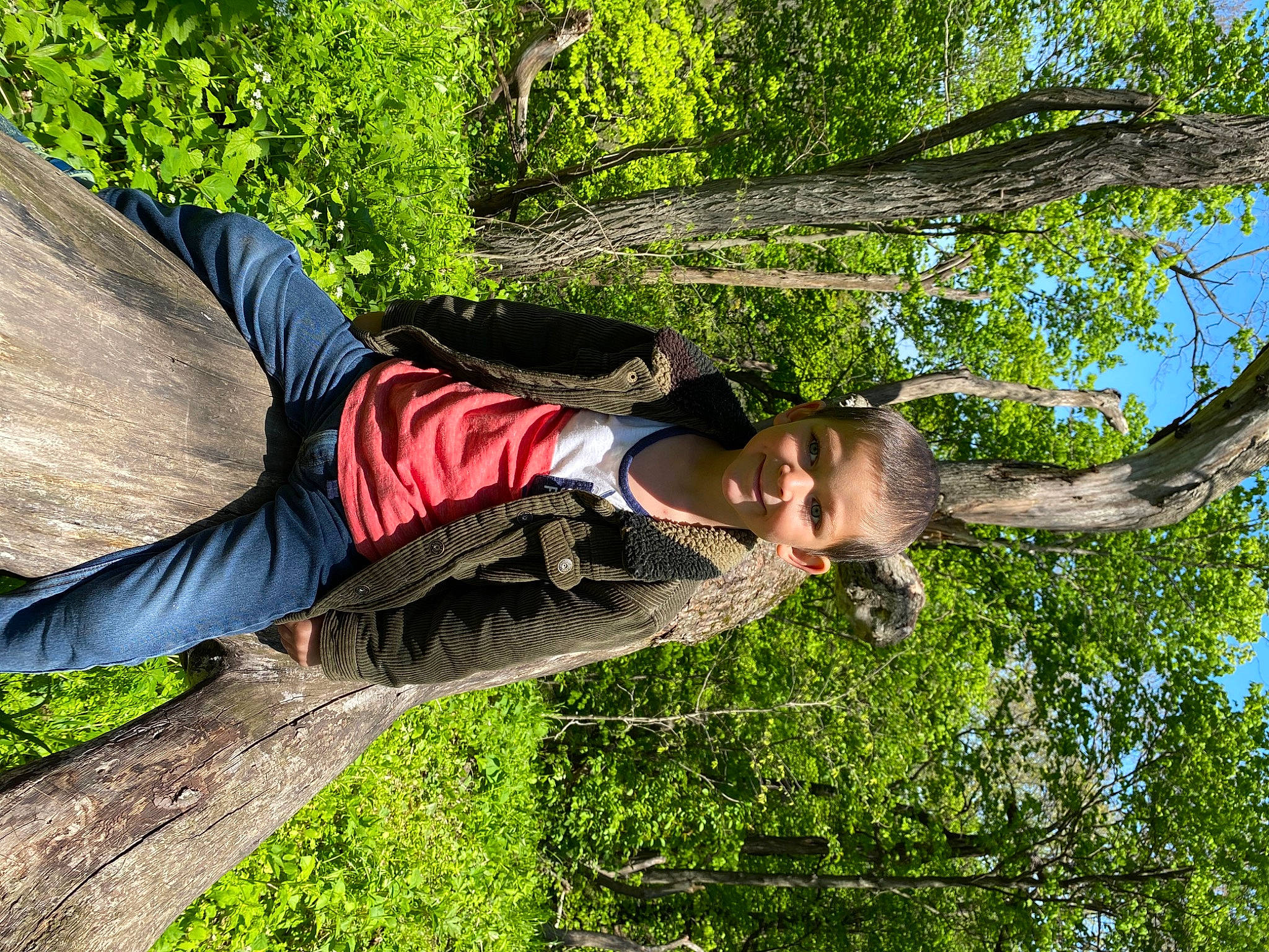 Grayson is registered to the contest to win money with this photo: botany, branch, forest, joy, leisure, people_in_nature, person, plant, tree, trunk, vacation, wilderness, woody_plant