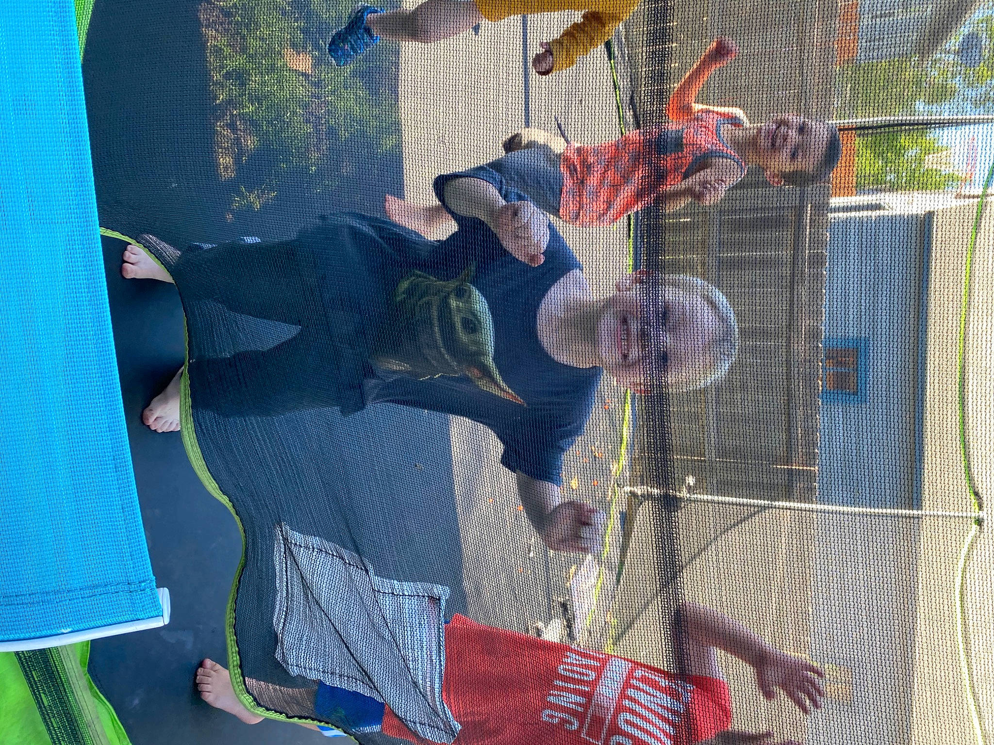 Hayden is registered to the contest to win money with this photo: art, joy, net, person, tree