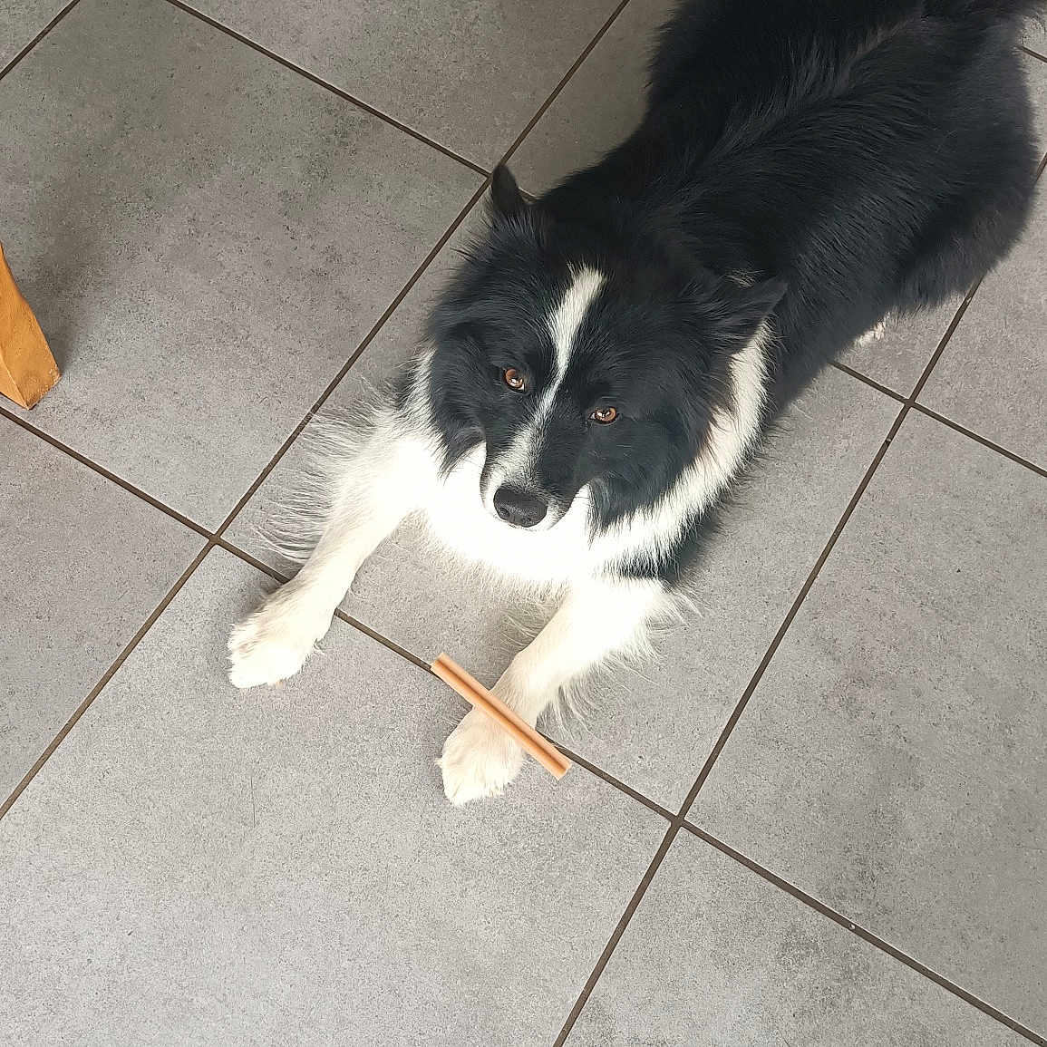 Olaf