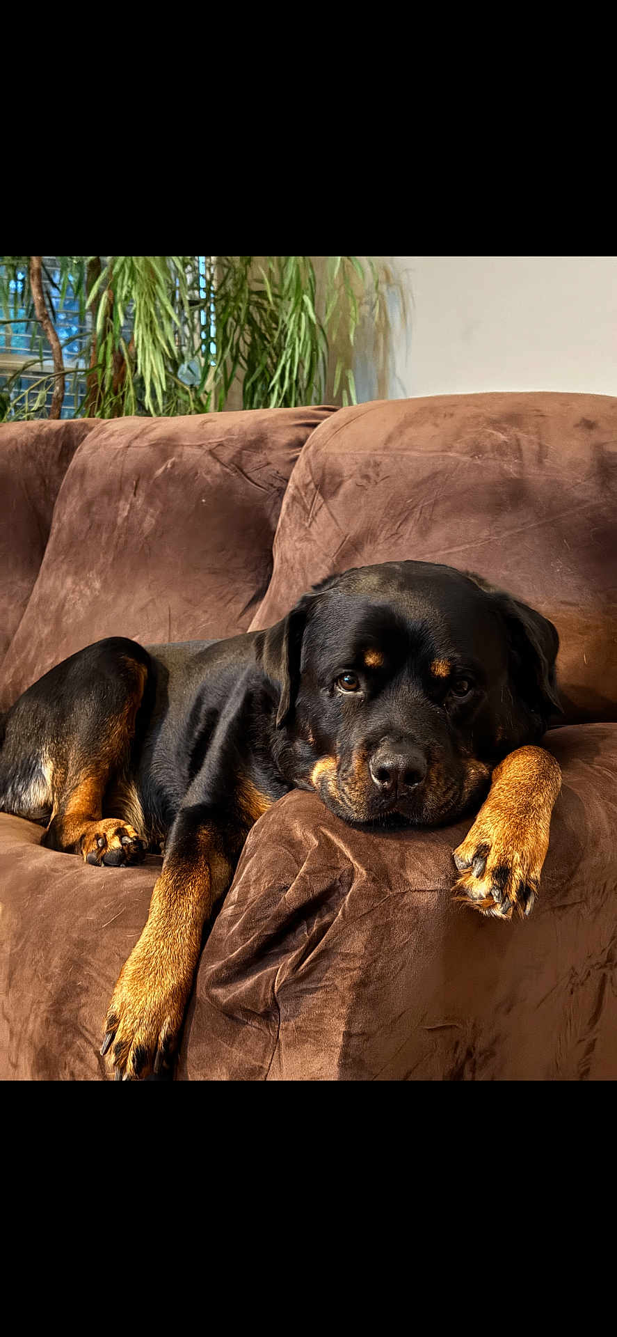 Titus