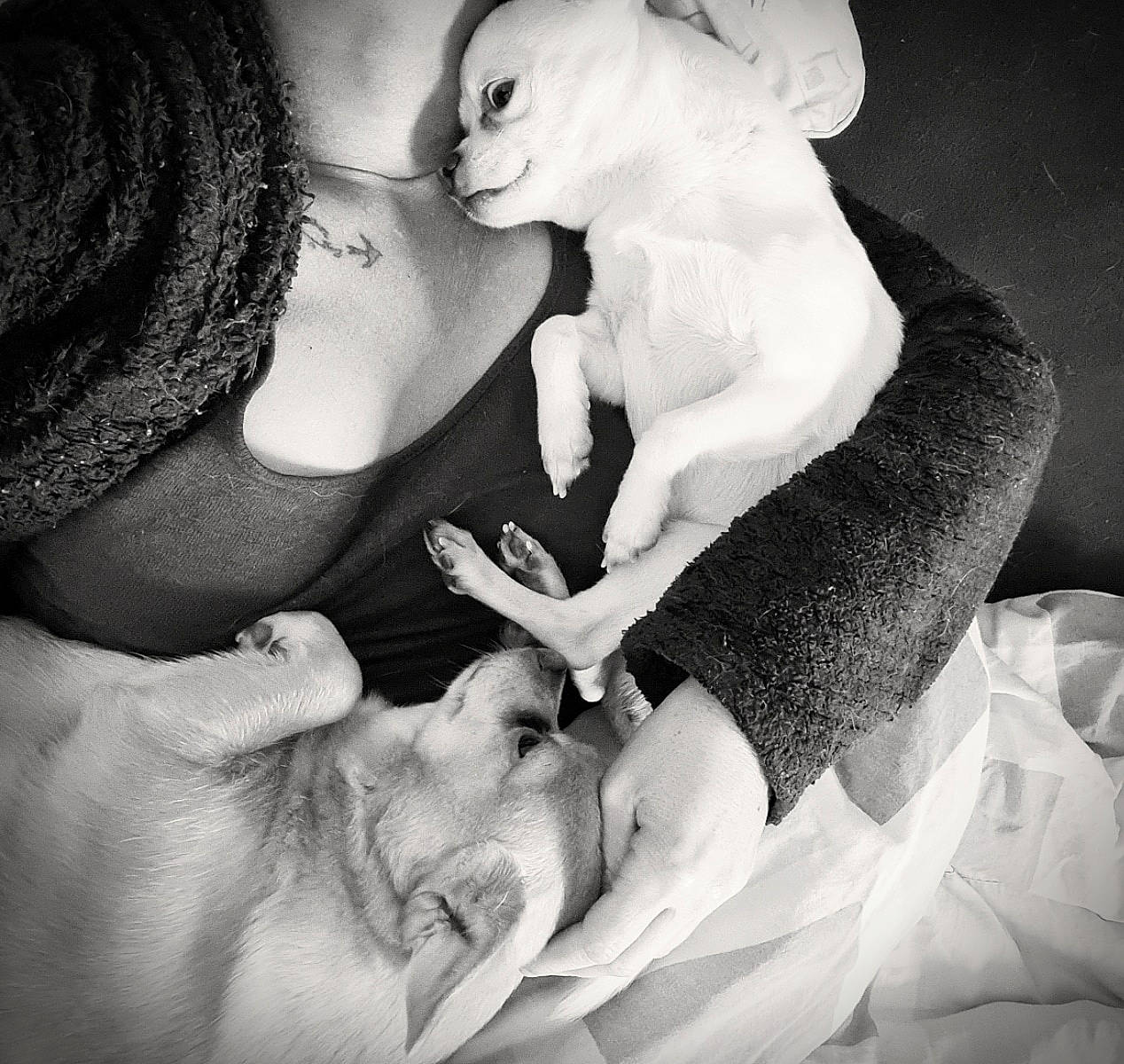 Zozo participe au concours pour gagner de l'argent avec cette photo : arm, black, black_and_white, ear, eyelash, finger, gesture, hairstyle, hand, happy, interaction, jaw, lip, monochrome, mouth, neck, photograph, style, toy, white