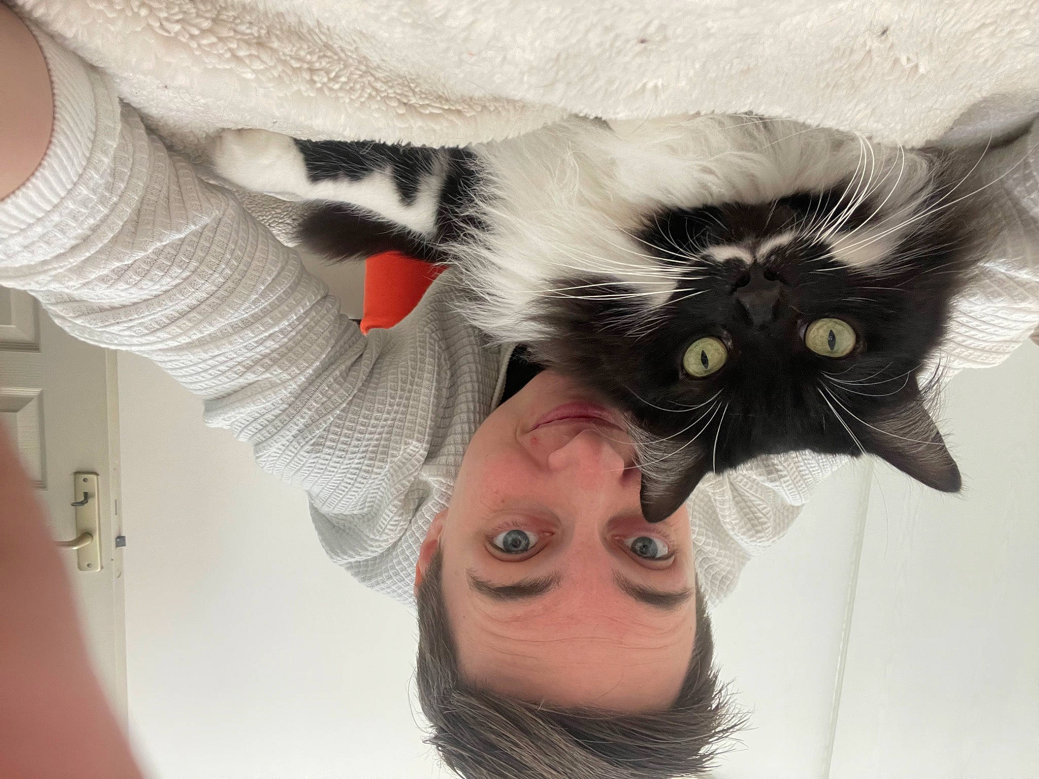 Bulle participe au concours pour gagner de l'argent avec cette photo : carnivore, cat, ear, eye, eyebrow, eyelash, eyewear, felidae, finger, gesture, glasses, hand, happy, head, human_body, jaw, mouth, nose, sunglasses, vision_care