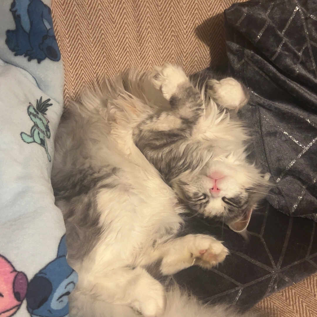Yuki