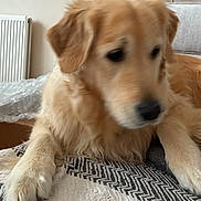 Ryo participe au concours pour gagner de l'argent avec cette photo :